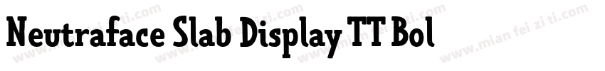 Neutraface Slab Display TT Bold字体转换
